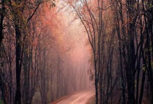 2024亚洲羽毛球精英巡回赛(陕西西安)站开赛.