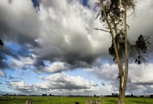 【足球】周三009意大利杯赛事推荐:尤文图斯VS恩波利.