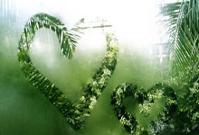 成都大运会比赛门票销售启动 最低票价30元.